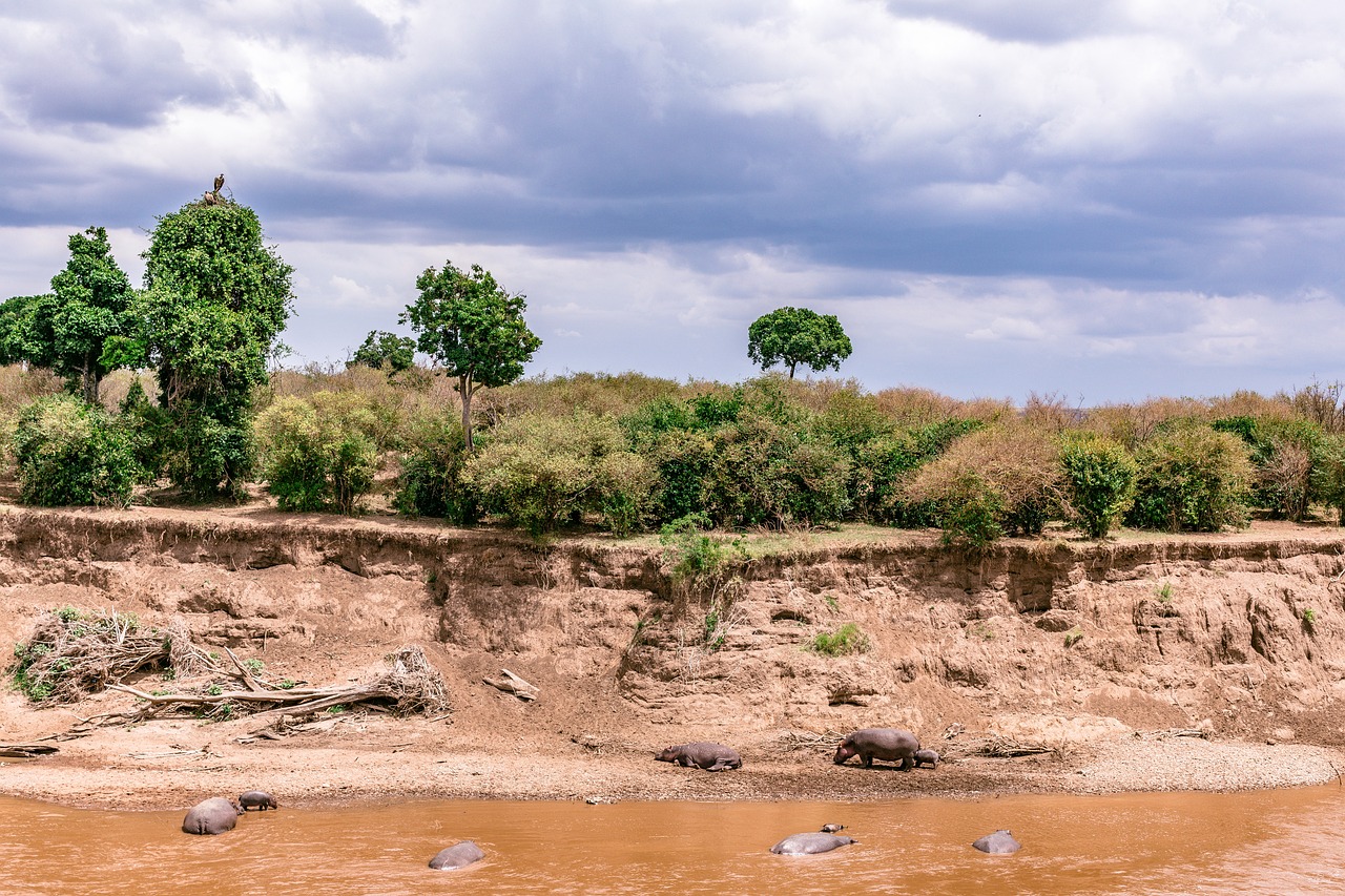 Eco-Conscious Tips for Exploring Kenya’s Maasai Mara